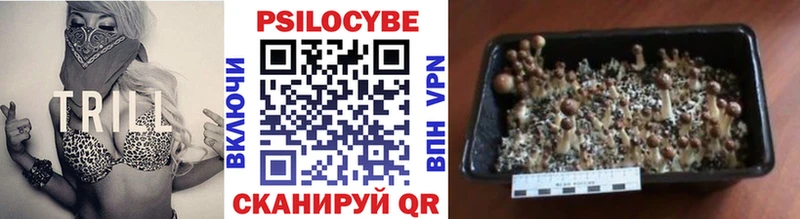 Псилоцибиновые грибы GOLDEN TEACHER  Светлоград 